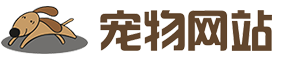 宠物商店宠物装备类网站 宠物网站